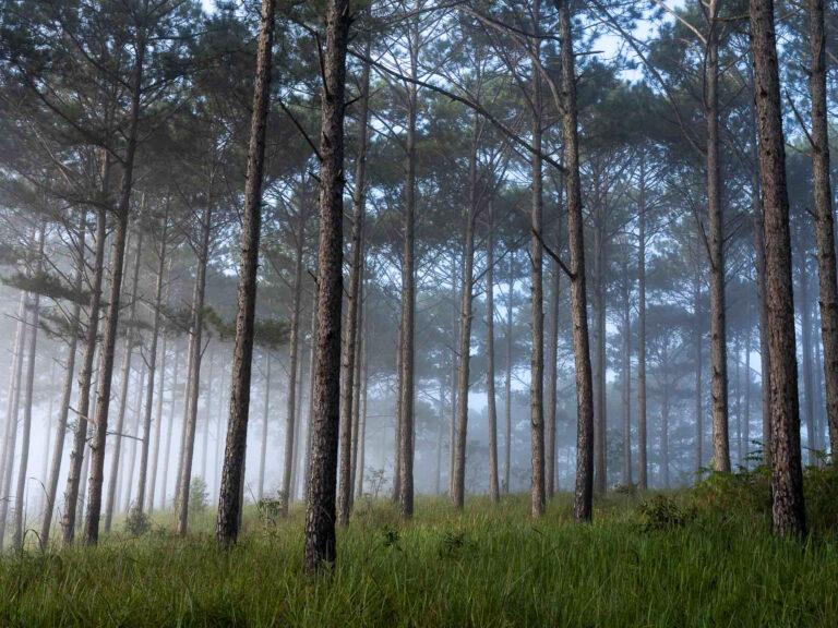 Entering 2024 with wind in our sails- ACR outlines three priorities for the year ahead