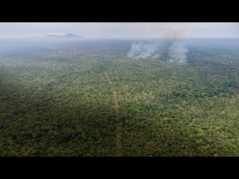 Watch Sustaining Forests through Science, Tech and Community-based Approaches on YouTube