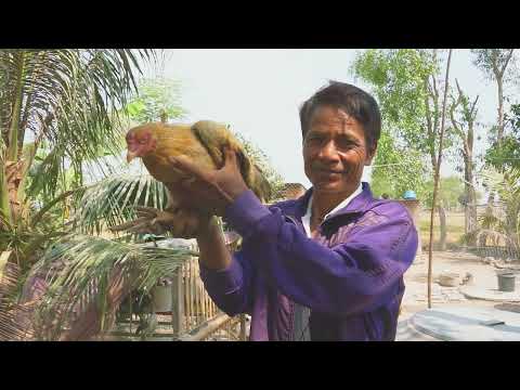 Watch Prevention and Livelihood Initiative on YouTube