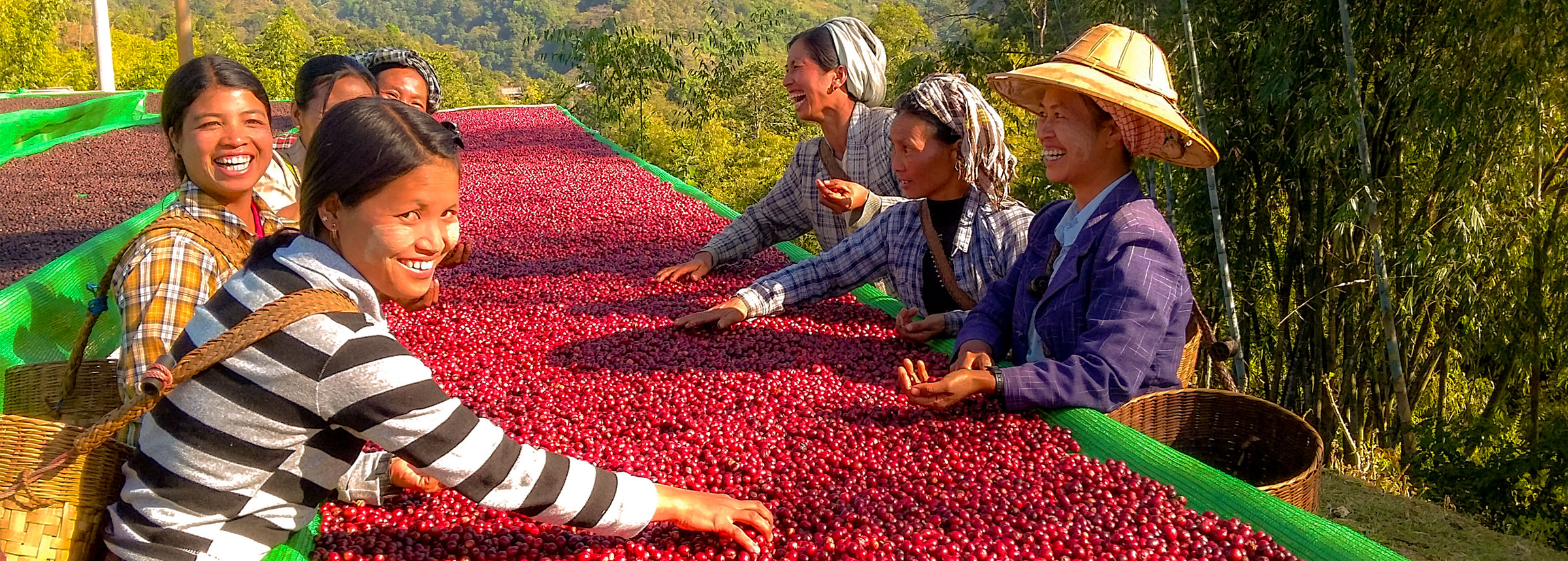 Burmese women at drying table