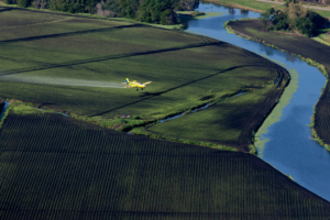 Florida sugarcane plantation Rolling stone